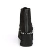 ASH100/BVS-VL - ASHES-100 - Image 3