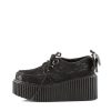CREEPER-212 - CRE212/BVL-LC - Image 2
